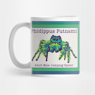 Phidippus Putnami - Jumping Spider Mug